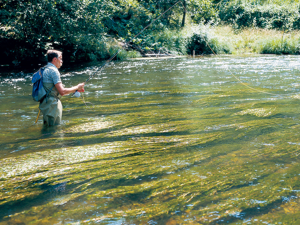  Exploring Spain’s sustainable path